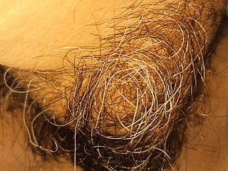 my wife's hairy pussy together with clitoris