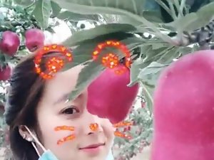 Çinli lise öğrencileri elma Orch içinde fotoğraf çekmek